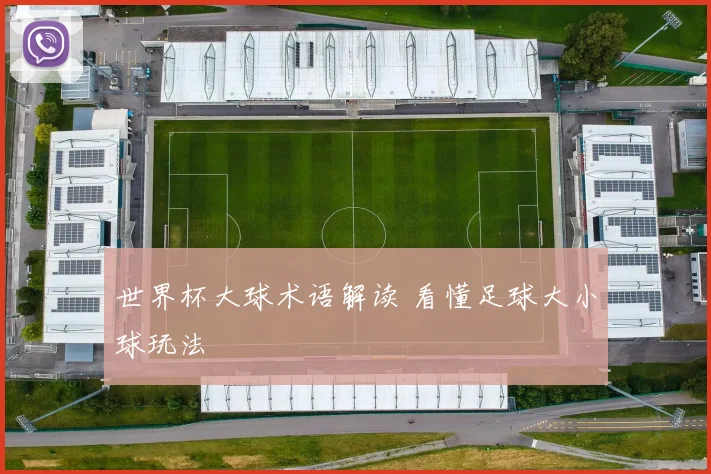 世界杯大球术语解读 看懂足球大小球玩法