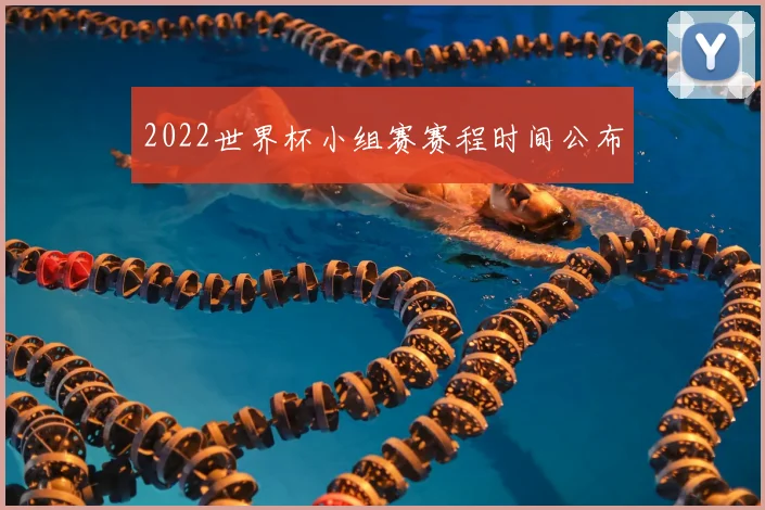 2022世界杯小组赛赛程时间公布